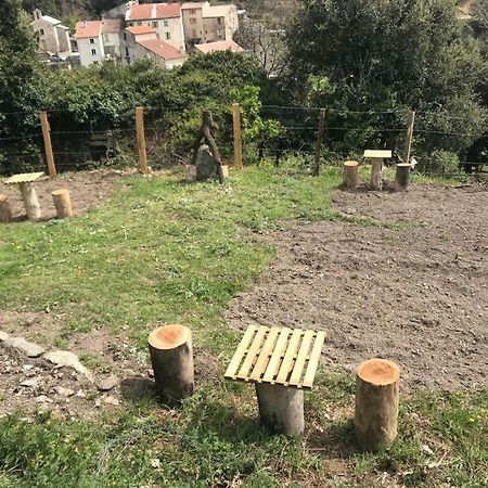 Camping L'Agrottu Au Coeur De La Corse Santa-Lucia-di-Mercurio Ngoại thất bức ảnh
