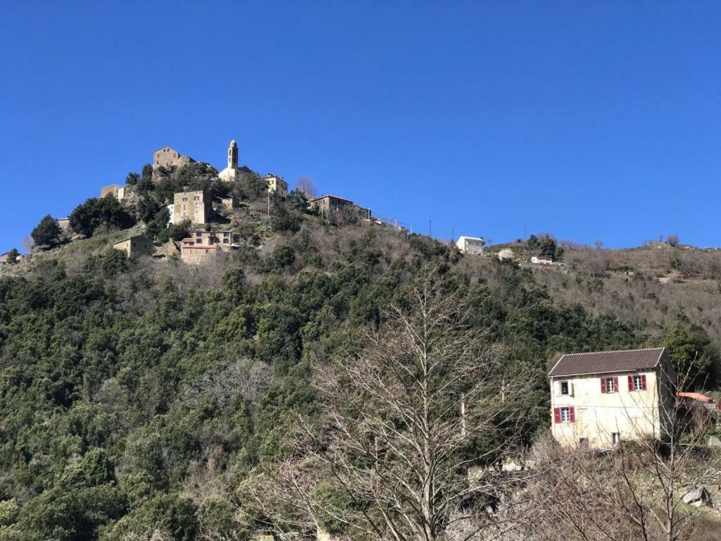 Camping L'Agrottu Au Coeur De La Corse Santa-Lucia-di-Mercurio Ngoại thất bức ảnh