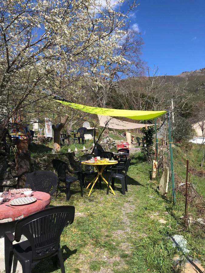Camping L'Agrottu Au Coeur De La Corse Santa-Lucia-di-Mercurio Ngoại thất bức ảnh