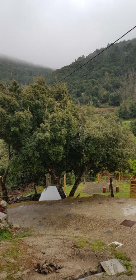 Camping L'Agrottu Au Coeur De La Corse Santa-Lucia-di-Mercurio Ngoại thất bức ảnh