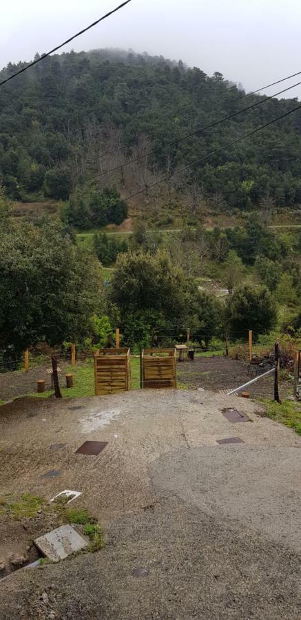 Camping L'Agrottu Au Coeur De La Corse Santa-Lucia-di-Mercurio Ngoại thất bức ảnh