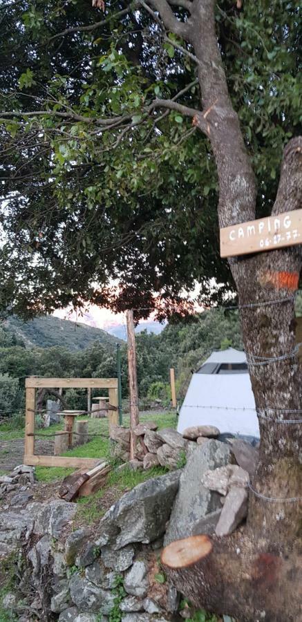Camping L'Agrottu Au Coeur De La Corse Santa-Lucia-di-Mercurio Ngoại thất bức ảnh
