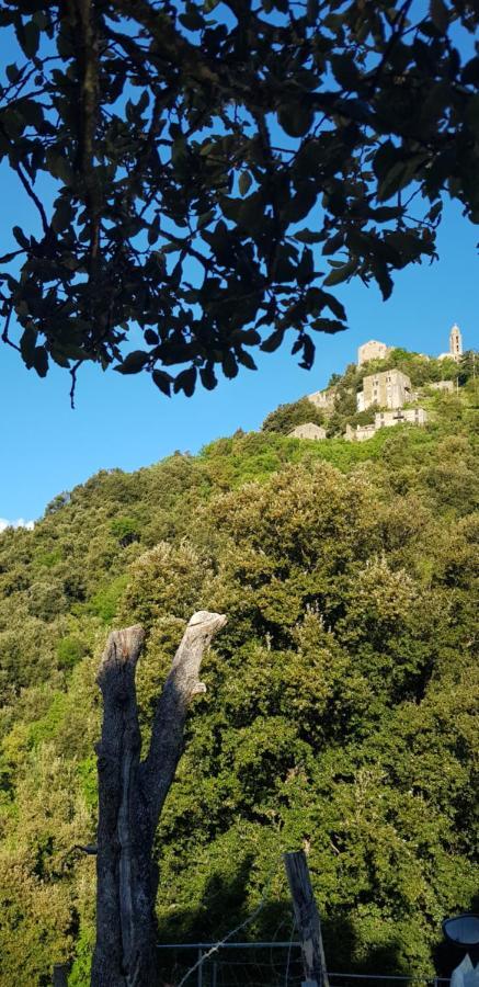 Camping L'Agrottu Au Coeur De La Corse Santa-Lucia-di-Mercurio Ngoại thất bức ảnh
